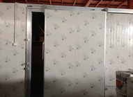 찬 방/단 하나 잎을 위한 자동 유형 저온 저장 미닫이 문 100mm 간격