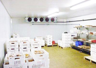 1 년 보장을 가공하는 고기 해산물을 위한 Copeland 압축기 저온 저장 방